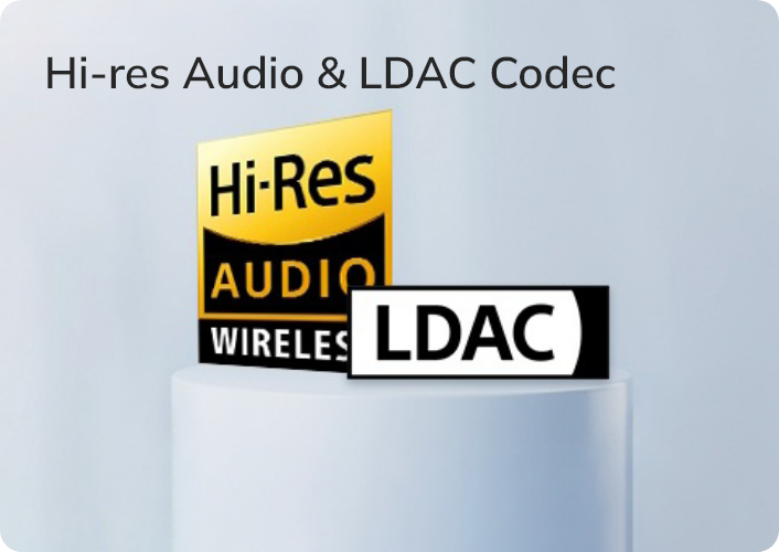 Logo Hi-Res Audio & Codec LDAC – Technologie audio sans fil premium