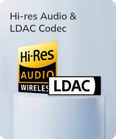 Logos Hi-Res Audio et codec LDAC pour une qualité sonore sans fil haut de gamme.